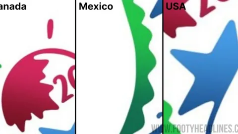 大连外援被纳入欧洲杯阵容，却遗憾错过第二阶段赛事