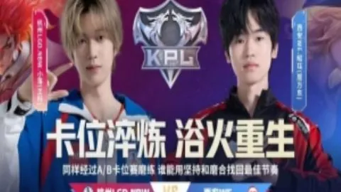 NBA分析：太阳对阵猛龙，壹精选专家质合推荐