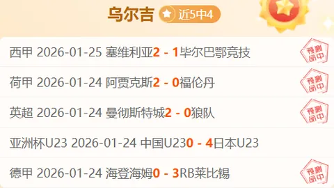 篮球比赛分析：独行侠vs魔术深度解析
